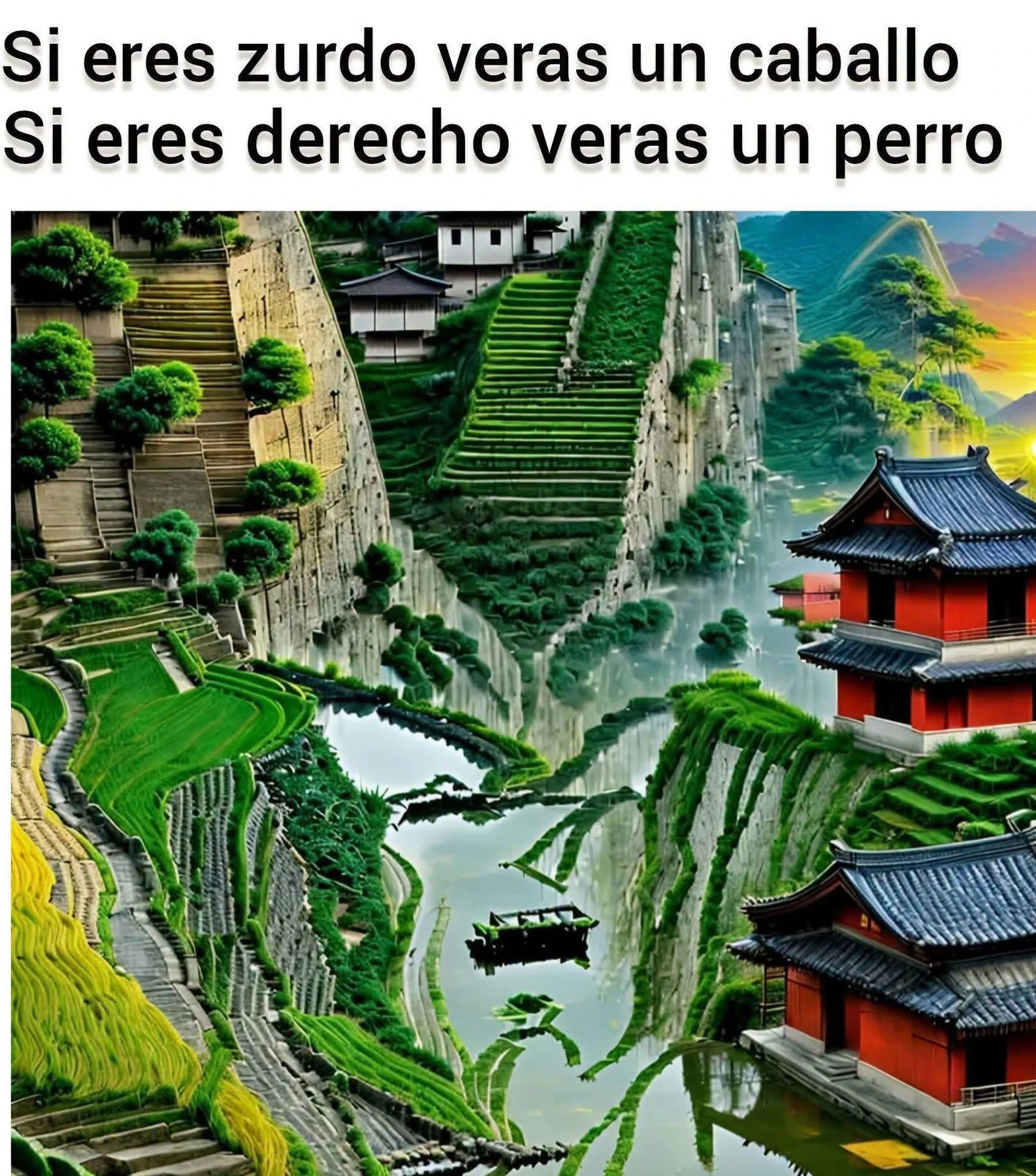 Meme de Dragon Ball