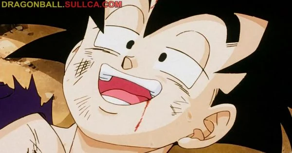[192] Goku's Decision