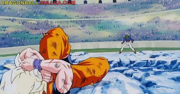 [199] Goku vs. Pikkon