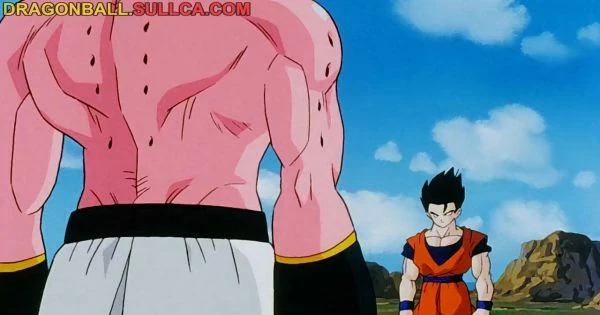 [263] A Whole New Gohan