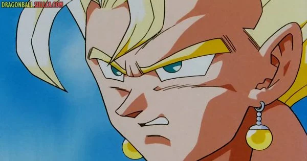 [271] Vegito... Downsized