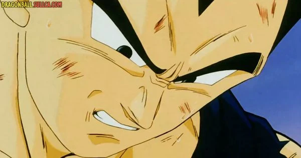 [280] Vegeta's Respect