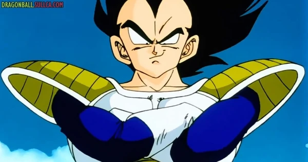 [30] Goku vs. Vegeta