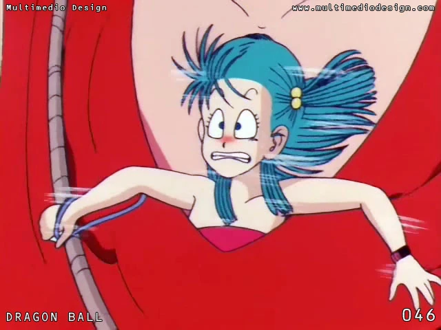 [046] El fracaso total de Bulma