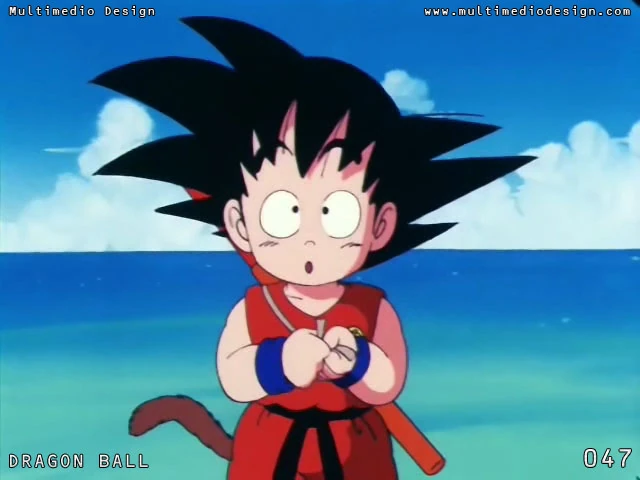 [047] Encuentran la casa de Roshi