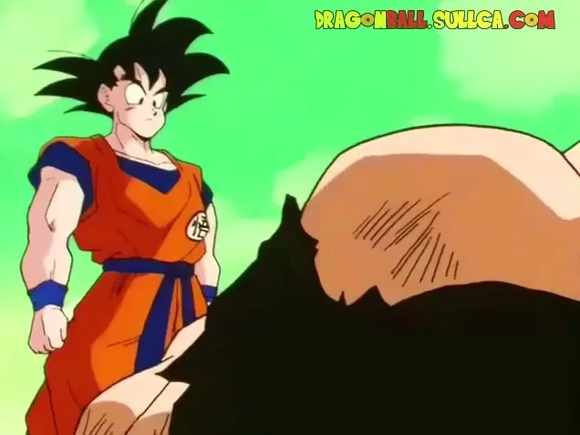 [067] ¡Yiz y Boter atacan a Goku!