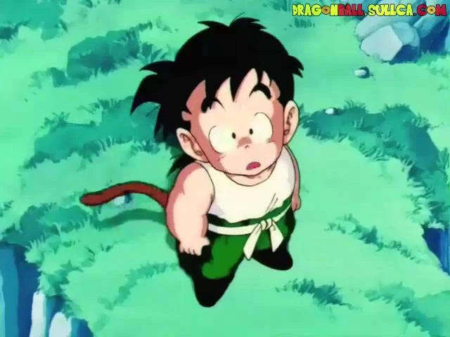 [008] Una transformación a causa del resplandor de la Luna, el poder secreto de Gohan.