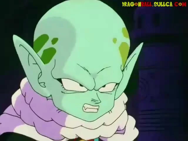 [113] Kami sama y Mr. Popo van al lugar sagrado.