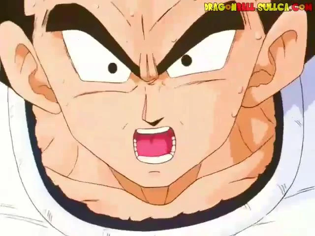 [124] Superaré a Goku.