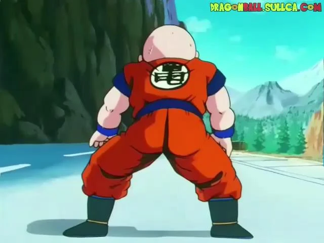 [136] ¿Este será el fin de los Guerreros Z?