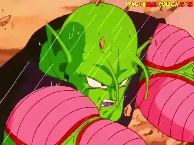 [150] Pikoro pelea con todas sus fuerzas.