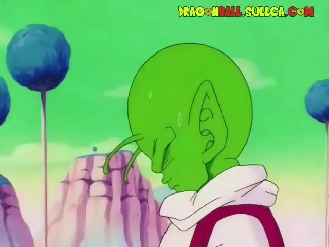 [051] Los grandes peleadores se reúnen con Kaio-Sama.