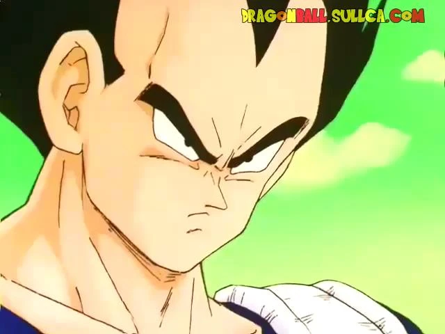 [077] ¿La aparición de un nuevo guerrero? Pikoro y Neil se fusionan.