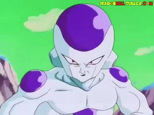 [087] La batalla final comienza.