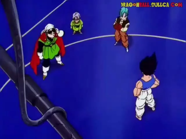 [205] ¿Gokú regresa?