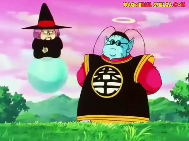 [208] Los guerreros Z se reúnen de nuevo.