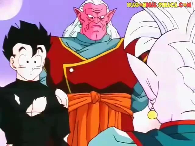 [242] Gohan revive.
