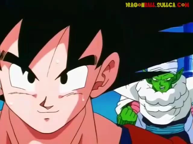 [248] Goku regresa al otro mundo.