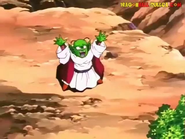 [264] La gran explosión de Majin Boo.