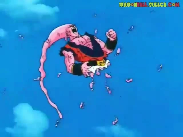 [272] Vegetto es absorbido.
