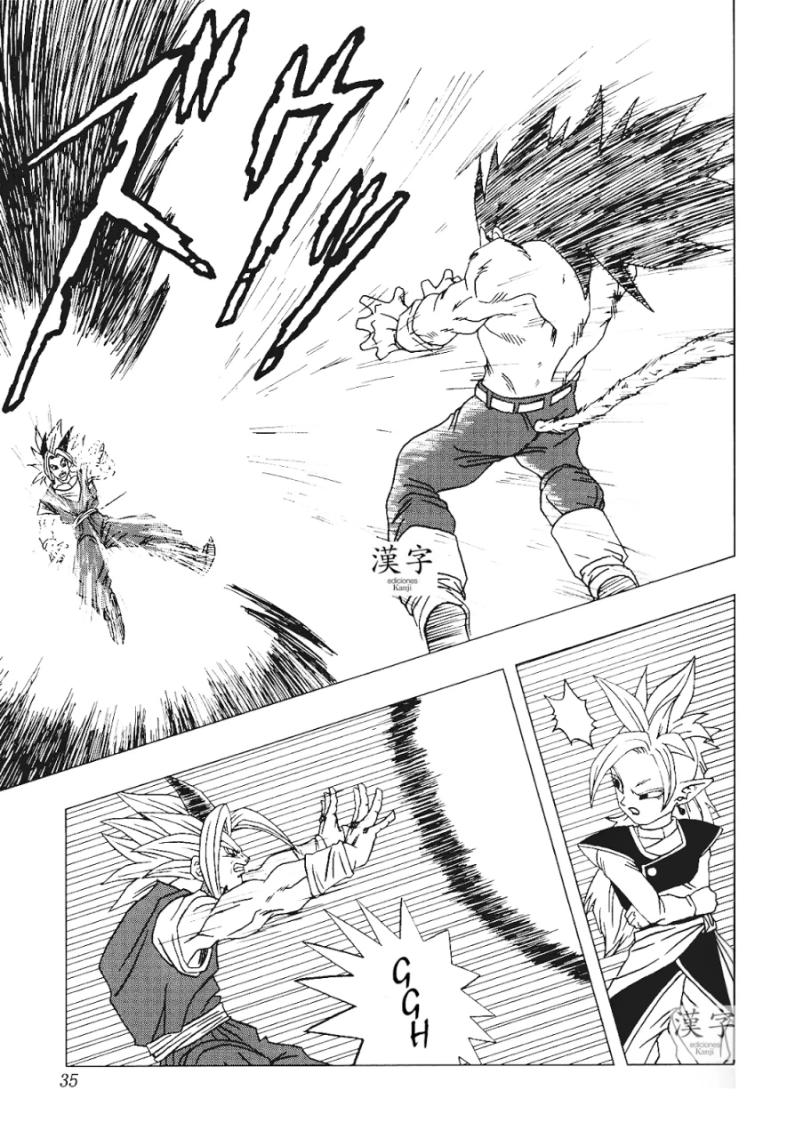 Página 33 – DBAF Plan de los Kaioshin