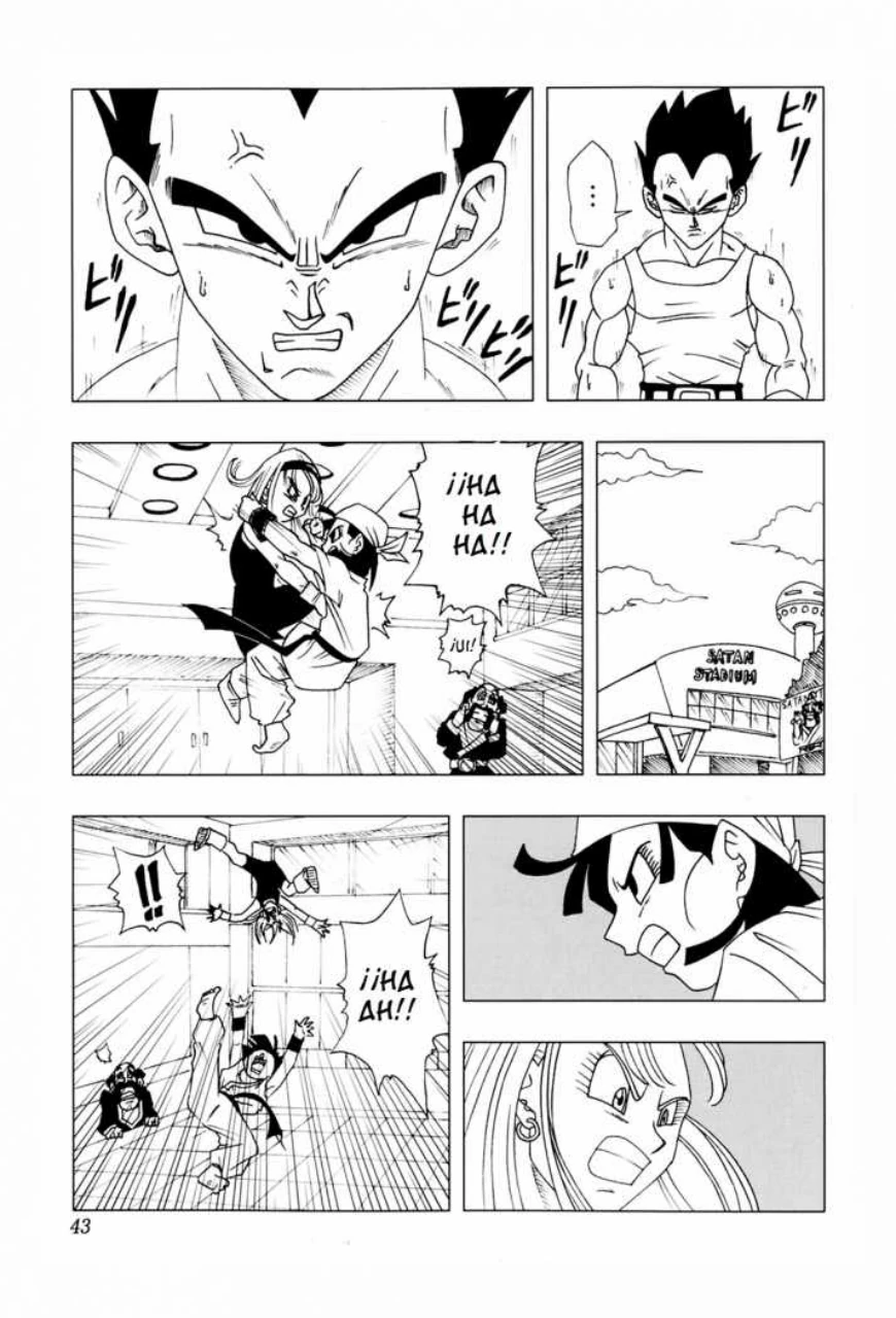 Página 42 – DBAF El séptimo Super Saiyajin