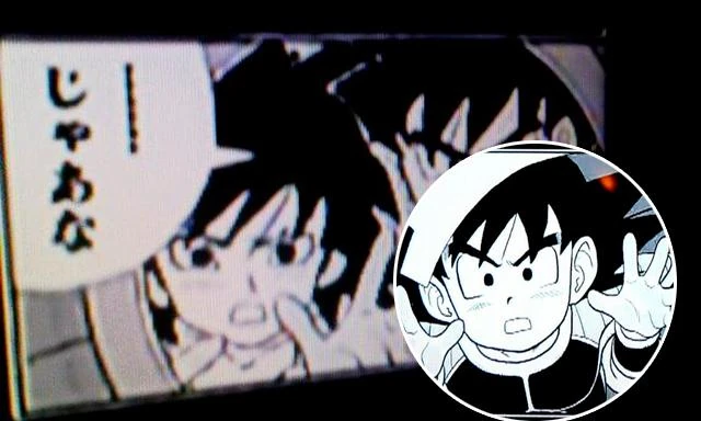 imagen-dragon-ball-madre-goku-gine