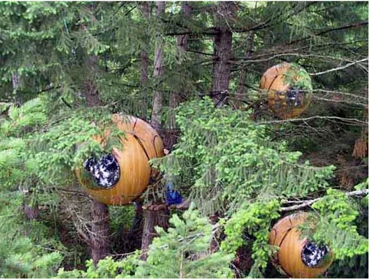Capsulas espaciales Saiyajin en medio del bosque.