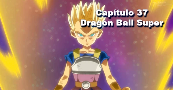 [37] ¡No olviden el honor de los Saiyajin! ¡Vegeta contra el saiyajin del sexto universo!