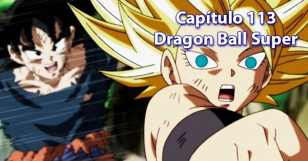 [113] Centésimo décimo tercer capítulo de Dragon Ball Super