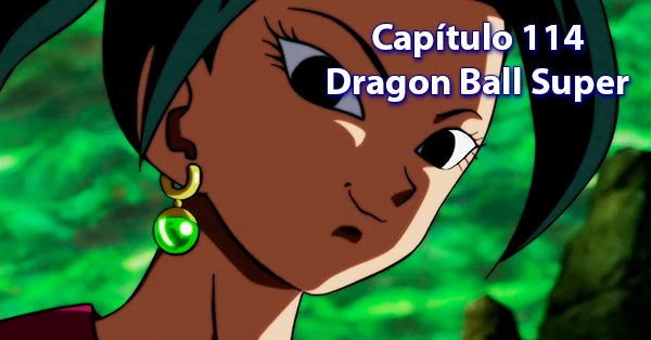 [114] Centésimo décimo cuarto capítulo de Dragon Ball Super