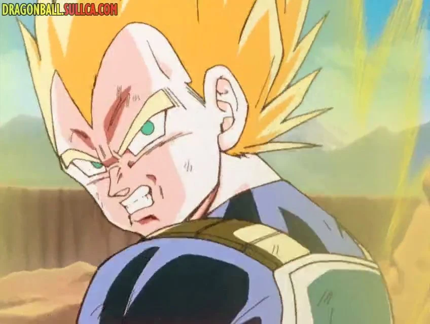 [66] ¡Es hora de reunificarse! ¡La inquebrantable determinación de Piccoro!
