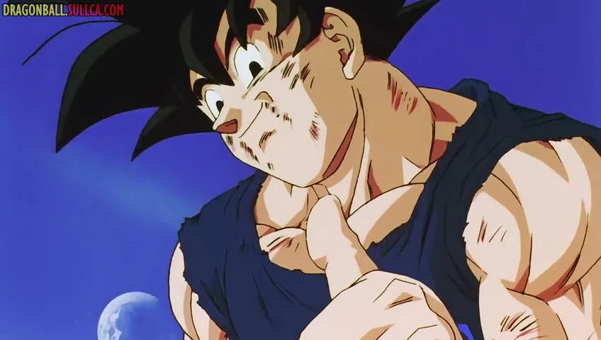 [164] ¡Eres el mejor Gokú! ¡La muerte de Majin Buu!
