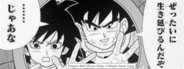 madre de goku 3