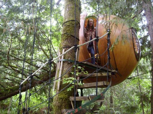 Estas singulares habitaciones son de propiedad del hotel Free Spirit Spheres, que ofrece a sus huéspedes una experiencia única: una conexión espiritual con el bosque, balanceándose al compás de los árboles.